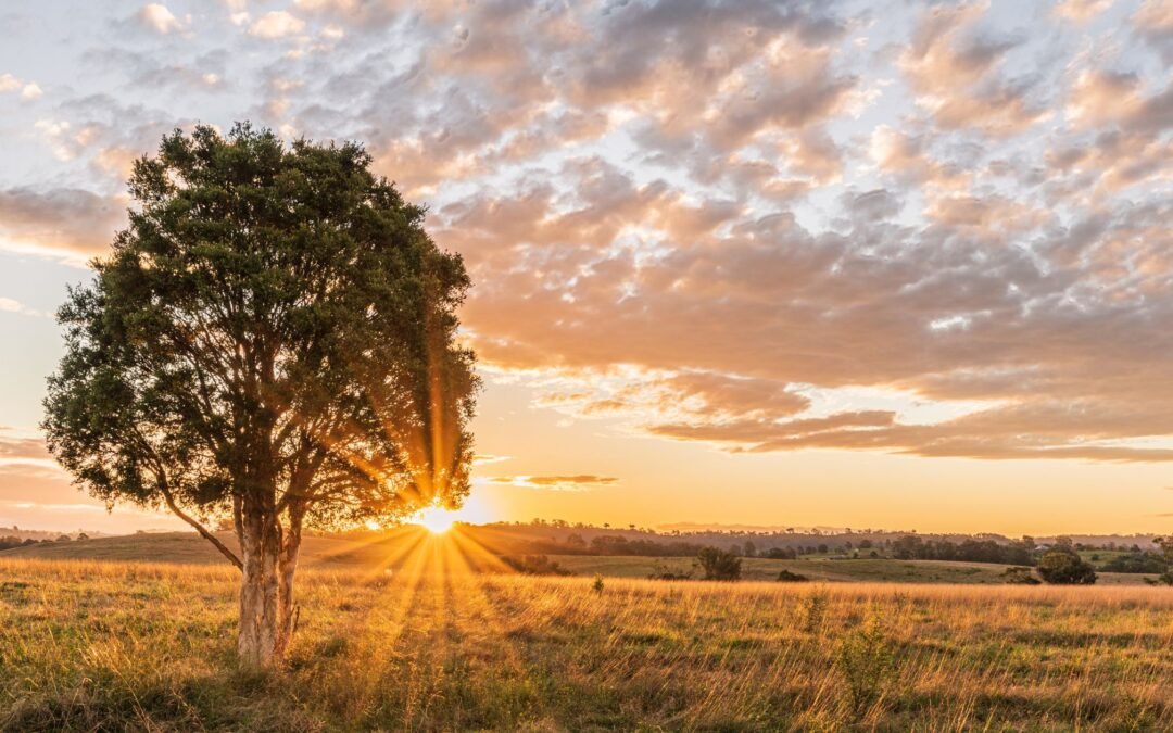 Who will Receive Naomi Judd’s Estate?