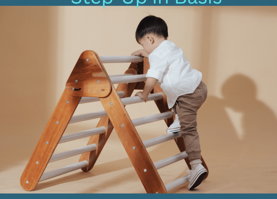 Step-Up in Basis in Florida